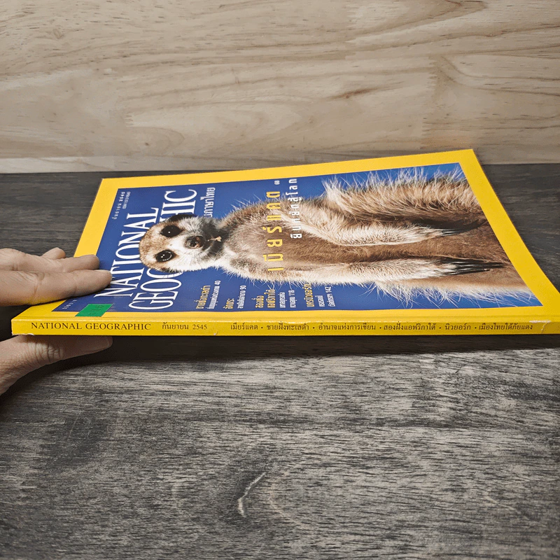 National Geographic ก.ย.2545 เมียร์แคต ยืนหยัดสู้โลก รูปที่ 2