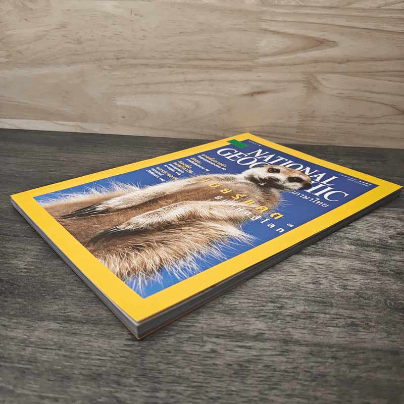 National Geographic ก.ย.2545 เมียร์แคต ยืนหยัดสู้โลก รูปที่ 3