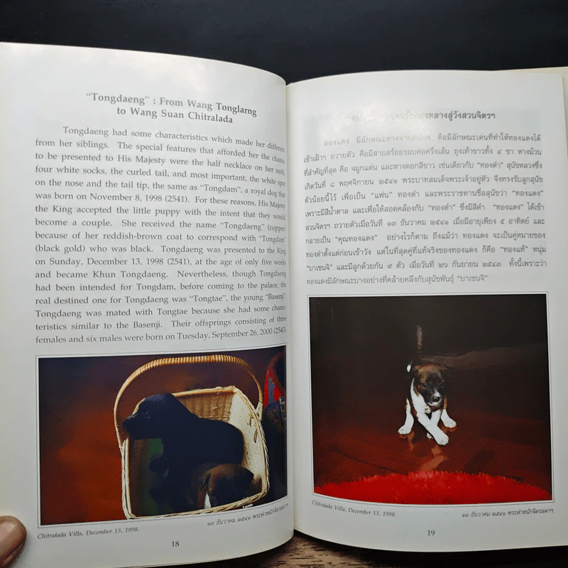เรื่องทองแดง The Story of Tongdaeng - พระบาทสมเด็จพระเจ้าอยู่หัวภูมิพลอดุลยเดช รูปที่ 8
