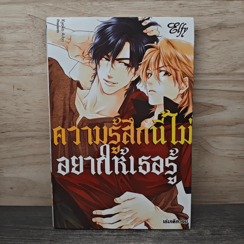 ความรู้สึกนี้ไม่อยากให้เธอรู้ - Elfy รูปที่ 1