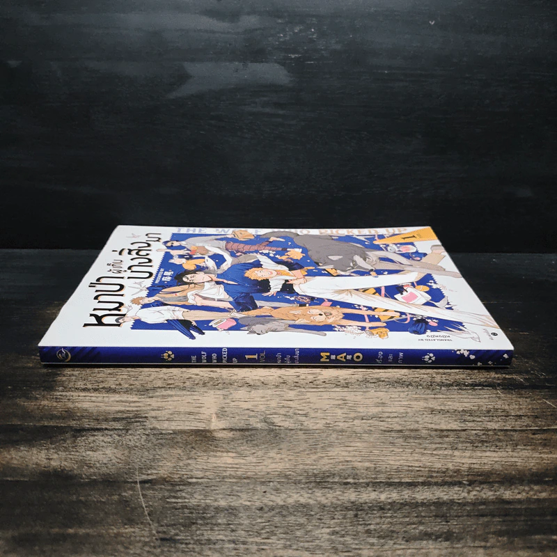 หมาป่าผู้เก็บบางสิ่งมา เล่ม 1 - Mawei รูปที่ 3