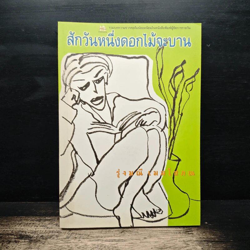 สักวันหนึ่งดอกไม้จะบาน - รุ่งมณี เมฆโสภณ รูปที่ 1