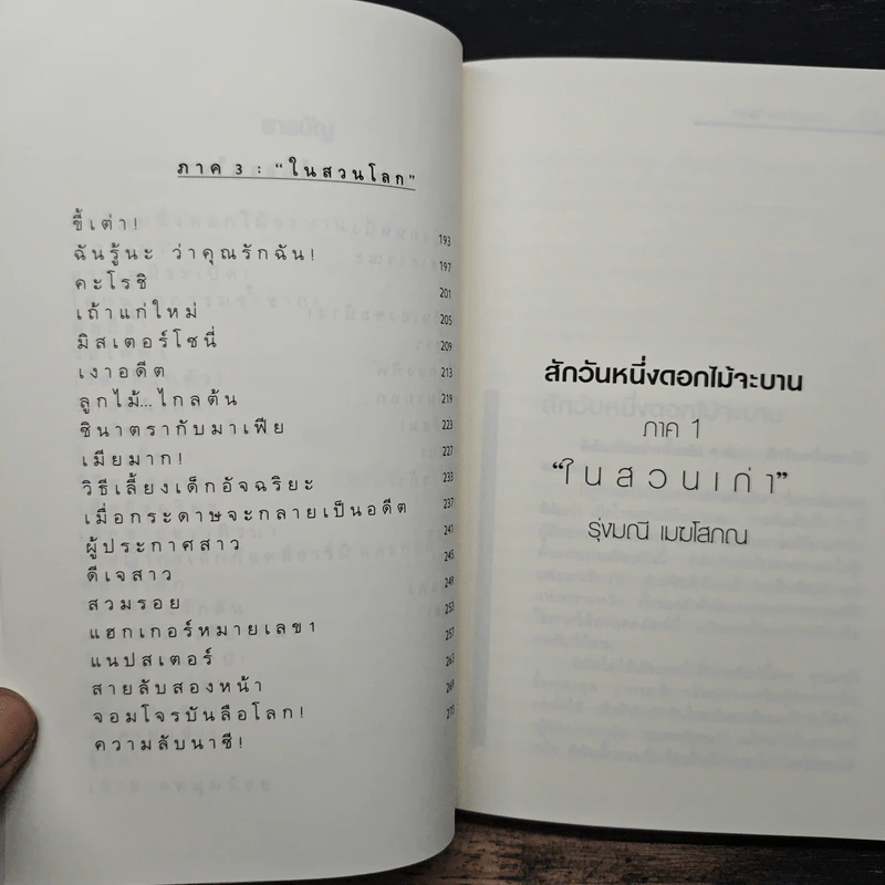 สักวันหนึ่งดอกไม้จะบาน - รุ่งมณี เมฆโสภณ รูปที่ 8