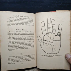 The Hand of Man - Noel Jaquin รูปที่ 11