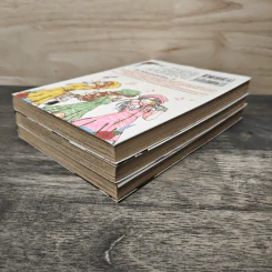 Princess Princess เขาให้ผมเป็น"เจ้าหญิง" ครับ เล่ม 1-3 รูปที่ 4