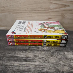 Princess Princess เขาให้ผมเป็น"เจ้าหญิง" ครับ เล่ม 1-3 รูปที่ 3