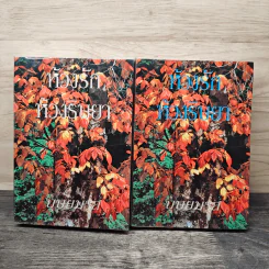 ห้วงรักห้วงริษยา 2 เล่มจบ - บุษยมาส