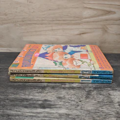 คุณแฝดแบบว่า(ซ่า) เล่ม 1-3 รูปที่ 3