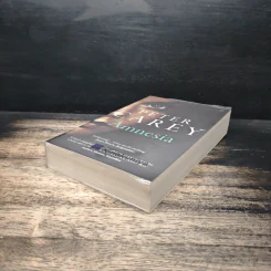 Amnesia - Peter Carey รูปที่ 4