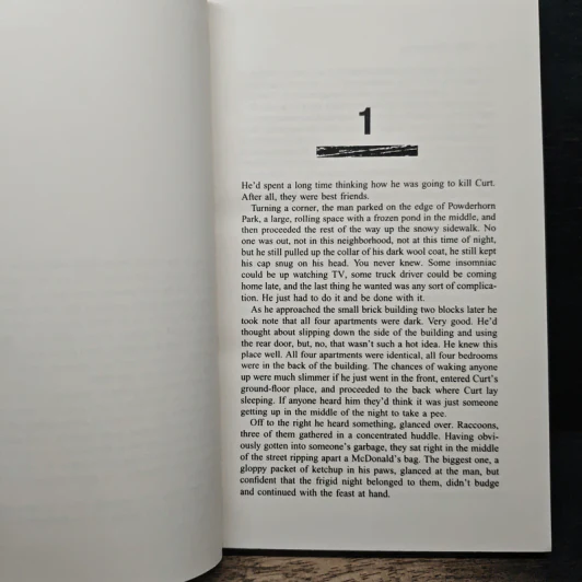 Hostage - R.D. Zimmerman รูปที่ 7