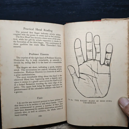The Hand of Man - Noel Jaquin รูปที่ 11