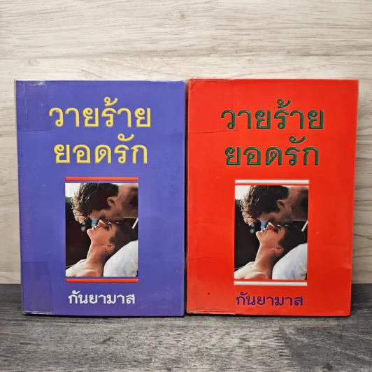 วายร้ายยอดรัก 2 เล่มจบ - กันยามาส รูปที่ 1