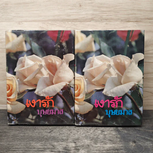 เงารัก 2 เล่มจบ - บุษยมาส รูปที่ 1