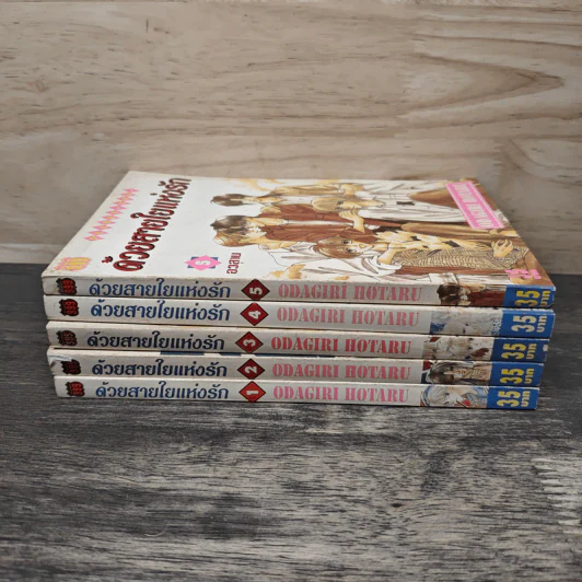 ด้วยสายใยแห่งรัก 5 เล่มจบ - Odagiri Hotaru รูปที่ 3