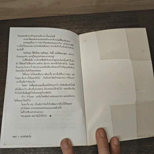 แผ่นดินหัวใจ - ดวงตะวัน รูปที่ 8