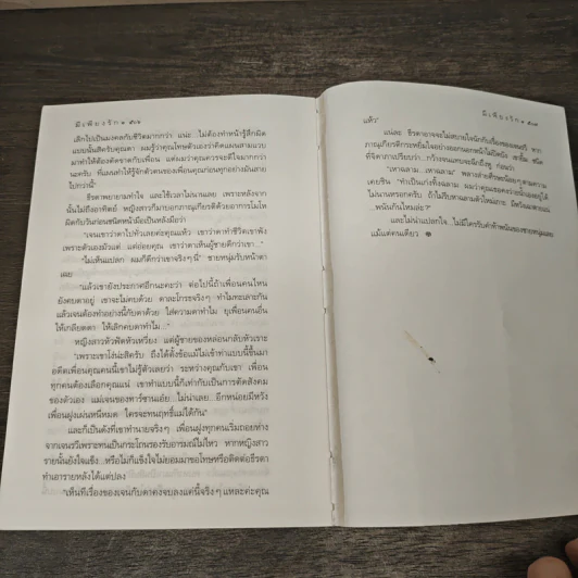 มีเพียงรัก - กิ่งฉัตร รูปที่ 8