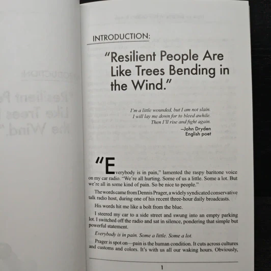 How to Bounce When Others Break - Dr. Steve W. Price รูปที่ 8