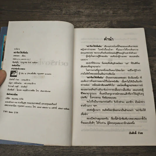 อย่าร้องไห้เพื่อฉัน - เพชรลดา รูปที่ 6