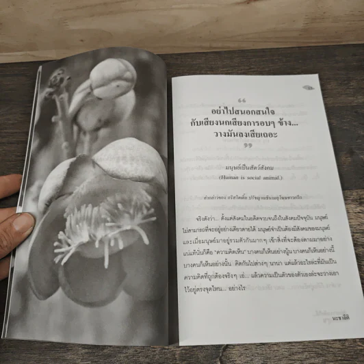 ปล่อยวางเสียได้...จิตก็เป็นสุข - นะชาลิติ รูปที่ 8