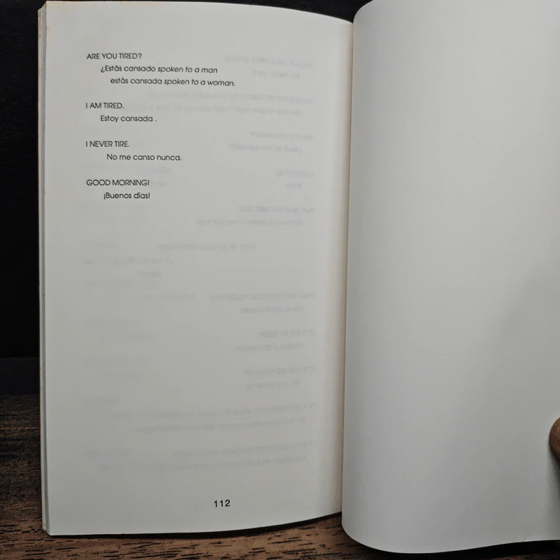 The Wander Woman's Phrasebook - Alison Owings รูปที่ 11