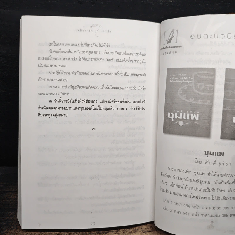 เพลิงนาคา - ชลนิล รูปที่ 8