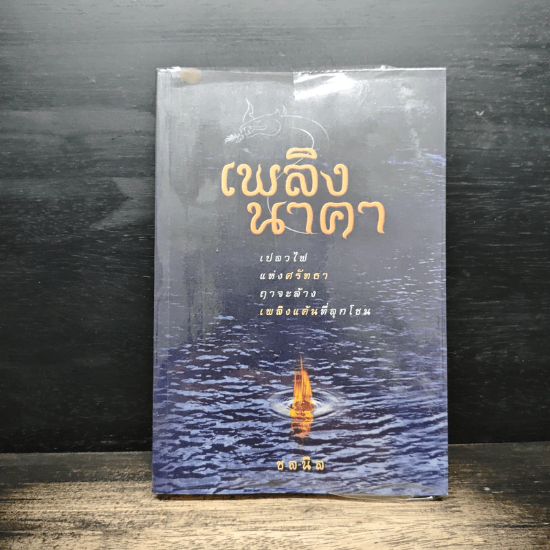 เพลิงนาคา - ชลนิล รูปที่ 1