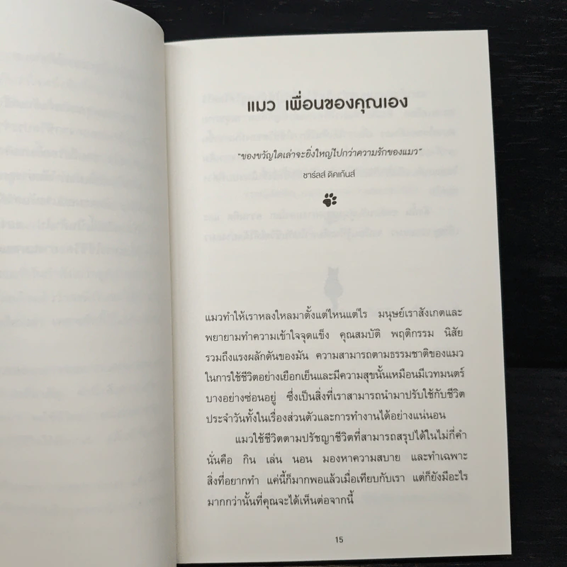 เมื่อแมวที่บ้านคุณผันตัวมาเป็นไลฟ์โค้ช - Stephane Garnier รูปที่ 9