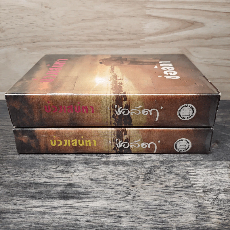 บ่วงเสน่หา 2 เล่มจบ - ช่อลัดา รูปที่ 3