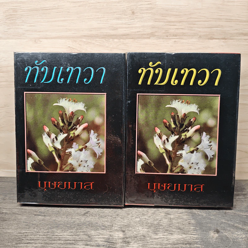 ทับเทวา 2 เล่มจบ - บุษยมาส รูปที่ 1