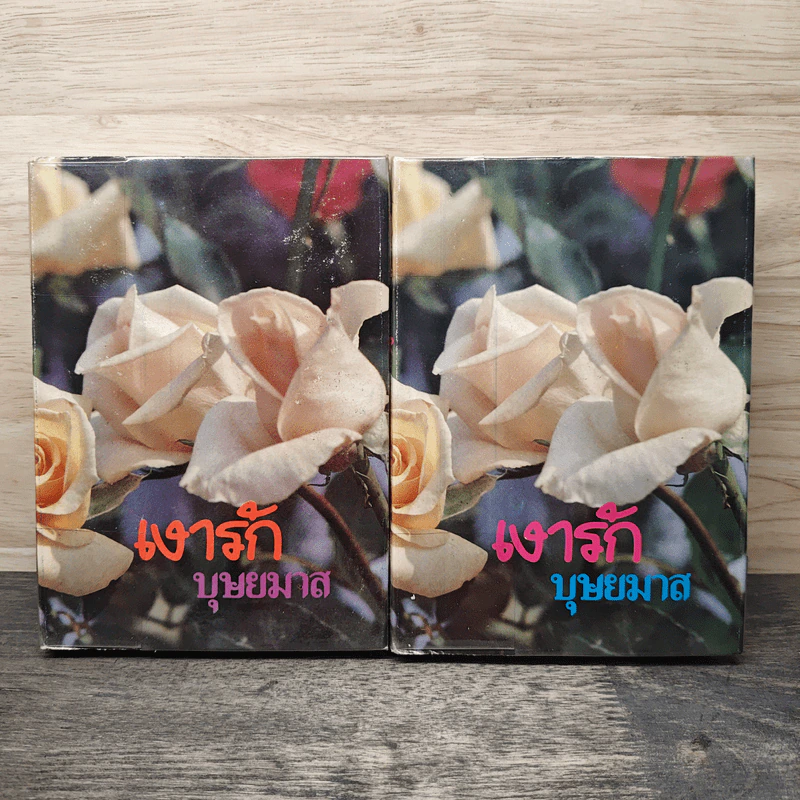 เงารัก 2 เล่มจบ - บุษยมาส รูปที่ 1