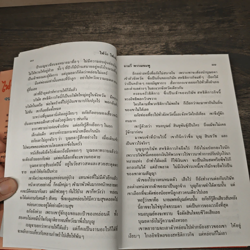 ไฟรักไฟแค้น - จามรี พรรณชมพู รูปที่ 7