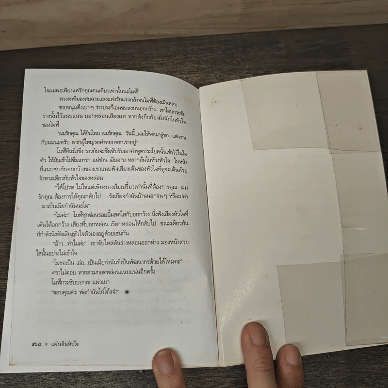 แผ่นดินหัวใจ - ดวงตะวัน รูปที่ 8
