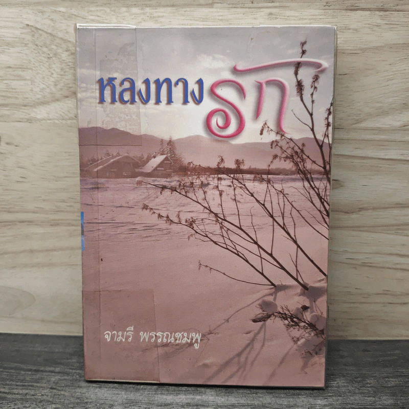 หลงทางรัก - จามรี พรรณชมพู รูปที่ 1
