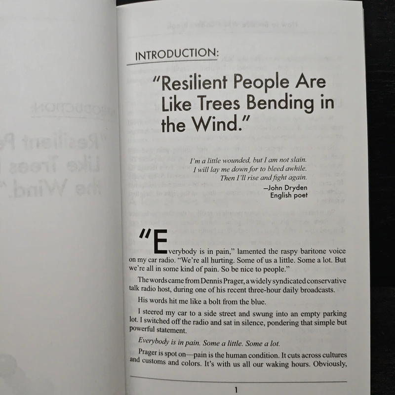 How to Bounce When Others Break - Dr. Steve W. Price รูปที่ 8