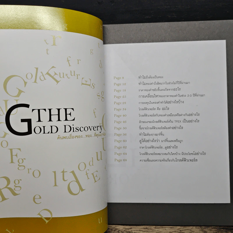 THE GOLD Discovery รูปที่ 6