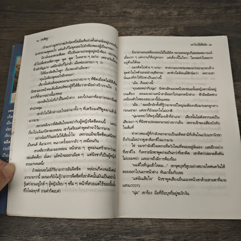 อย่าร้องไห้เพื่อฉัน - เพชรลดา รูปที่ 7