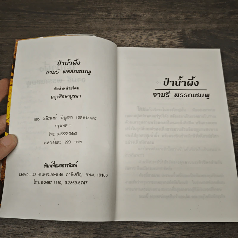 ป่าน้ำผึ้ง - จามรี พรรณชมพู รูปที่ 5