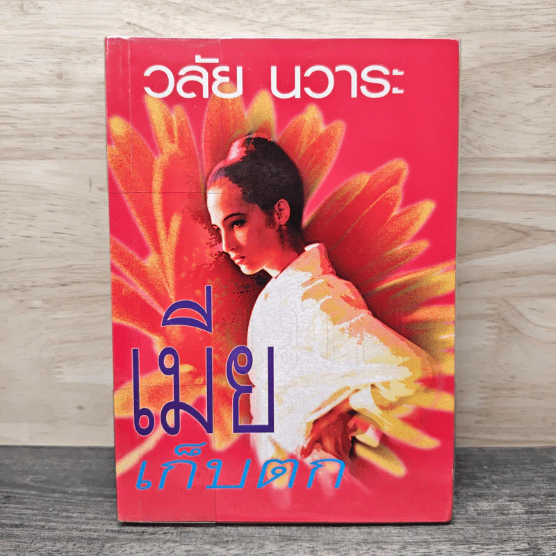 เมียเก็บตก - วลัย นวาระ รูปที่ 1