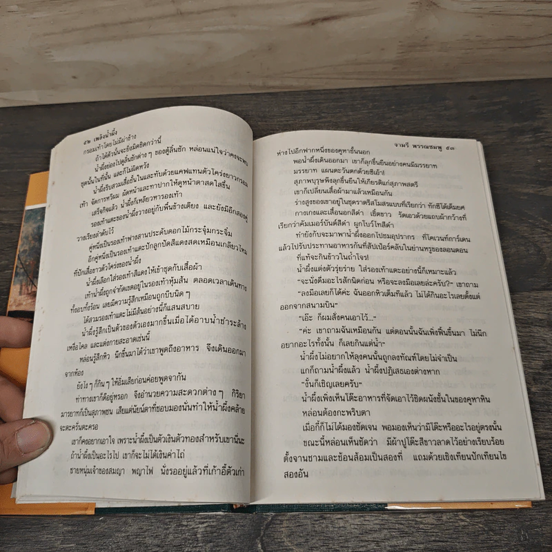 เพลิงน้ำผึ้ง - จามรี พรรณชมพู รูปที่ 7