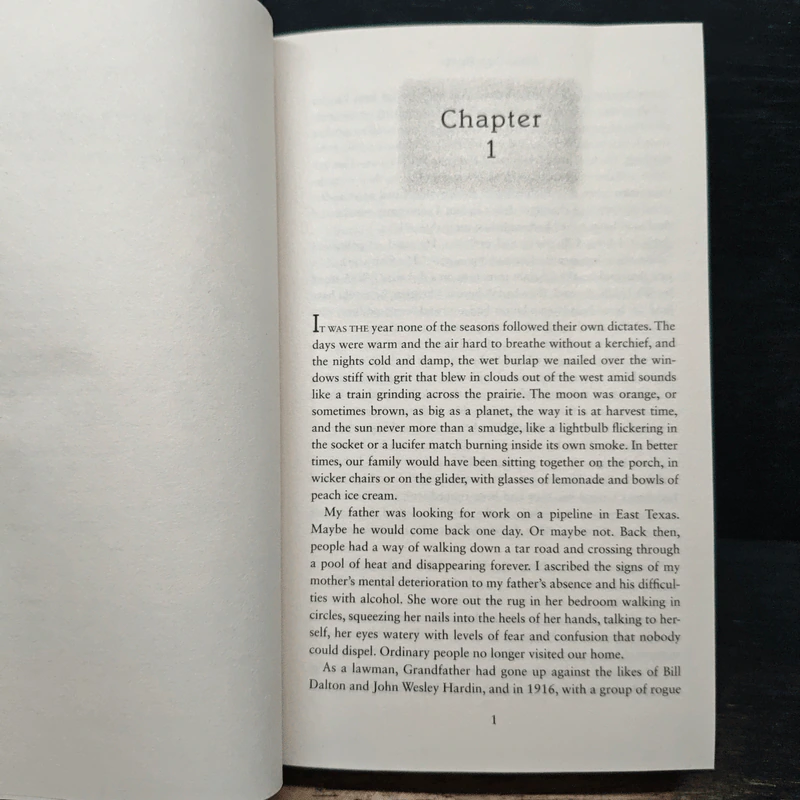 Wayfaring Stranger - James Lee Burke รูปที่ 6
