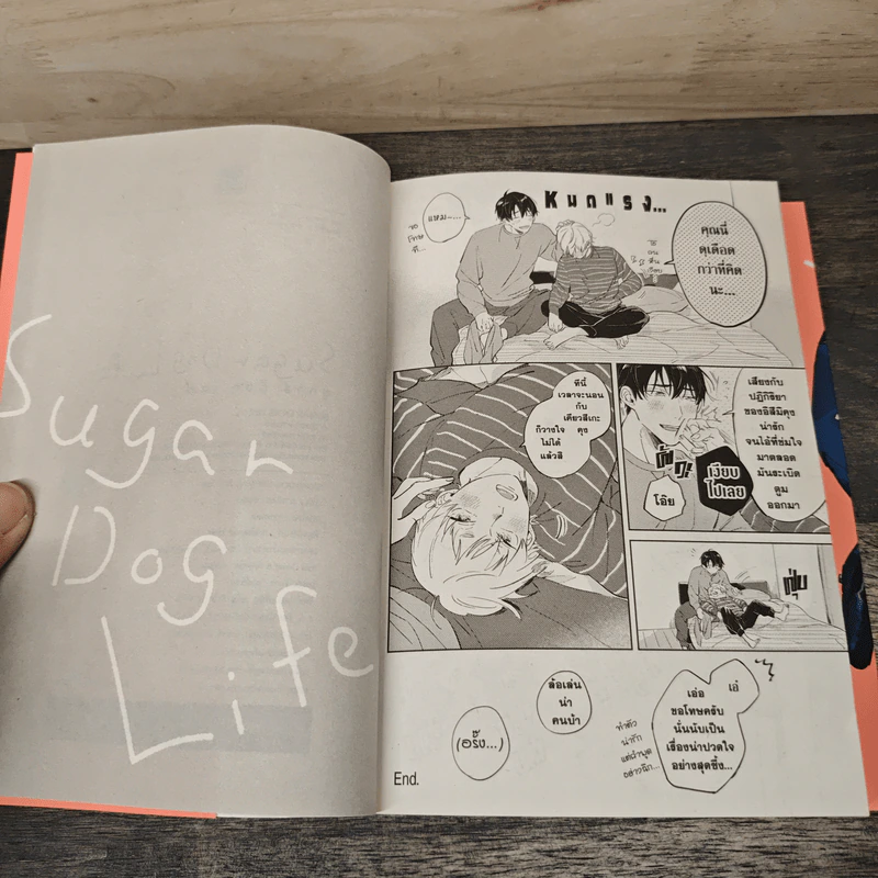 Sugar Dog Life ชูการ์ ด็อก ไลฟ์ - Yoriko รูปที่ 8
