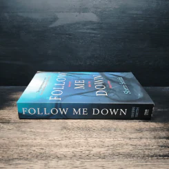 Follow Me Down - Sherri Smith รูปที่ 3