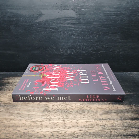 Before We Met - Lucie Whitehouse รูปที่ 3