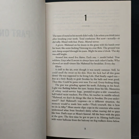 Never Screw Up - Jens Lapidus รูปที่ 7