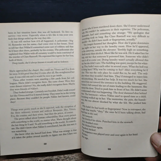 Never Screw Up - Jens Lapidus รูปที่ 8