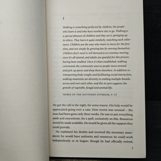 Infinite Ground - Martin MacInnes รูปที่ 7