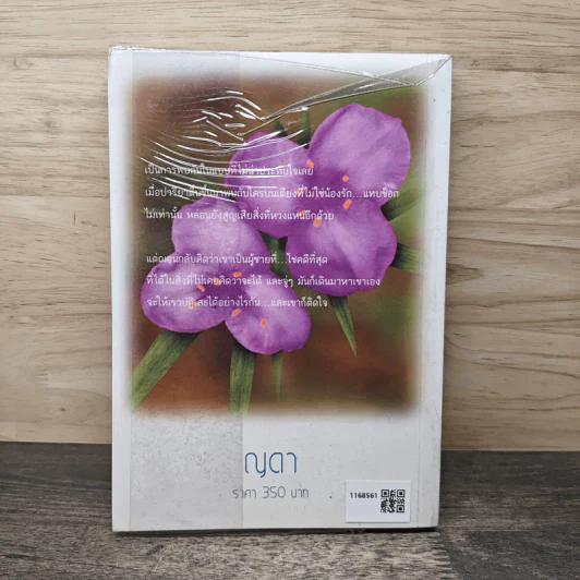 บอสตัน...วันฝันรัก - ญดา รูปที่ 5