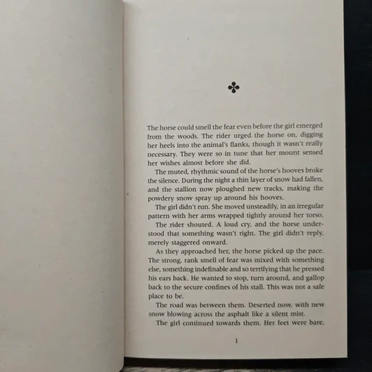 The Ice Child - Camilla Läckberg รูปที่ 7