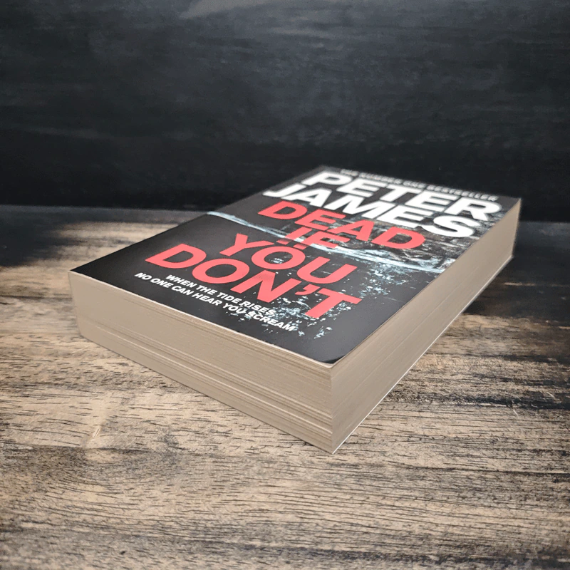 Dead If You Don't - Peter James รูปที่ 4