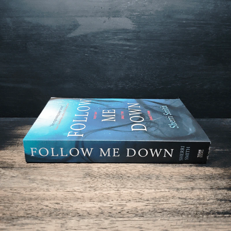 Follow Me Down - Sherri Smith รูปที่ 3